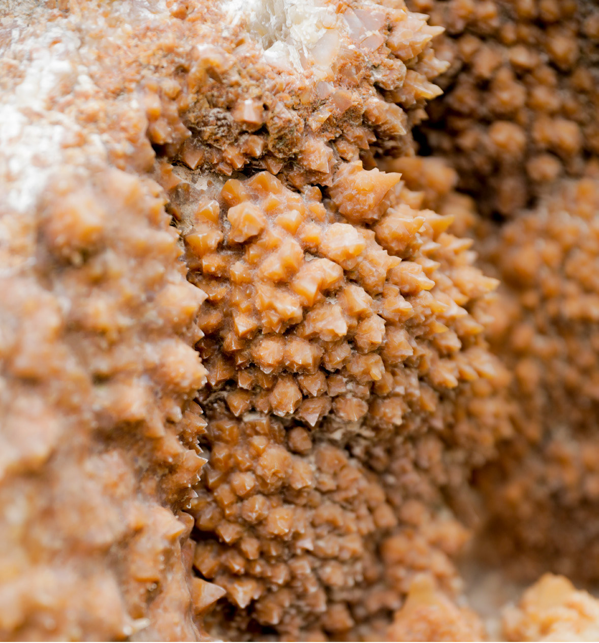 Pormenor de cristais minerais alaranjados